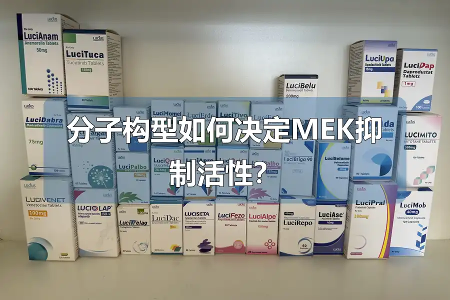 分子构型如何决定MEK抑制活性?